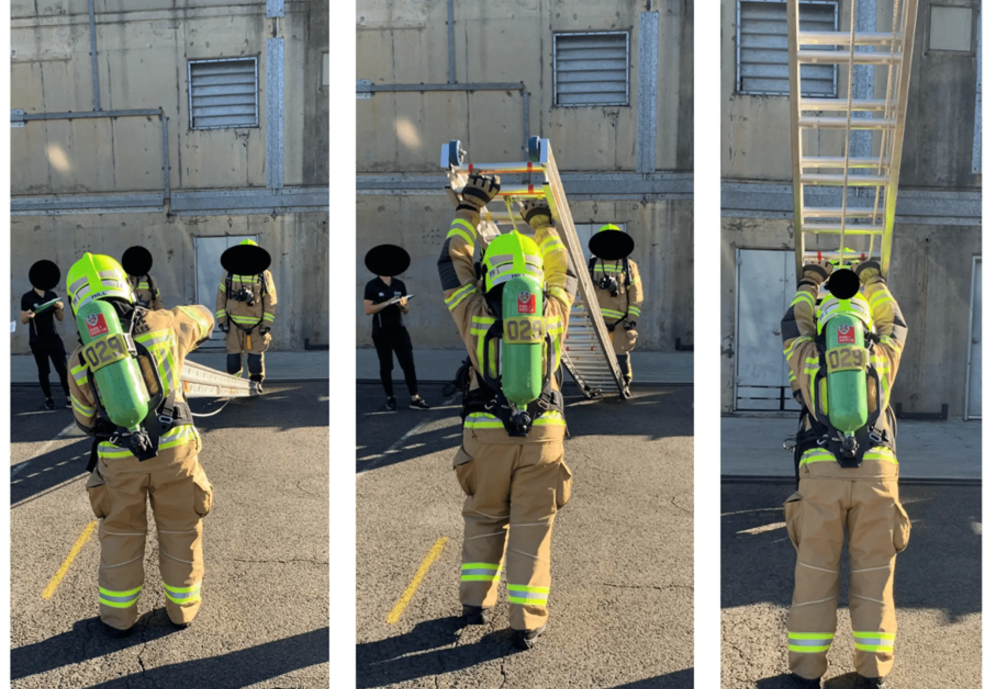 Demonstration of the original ladder raise and lower task.