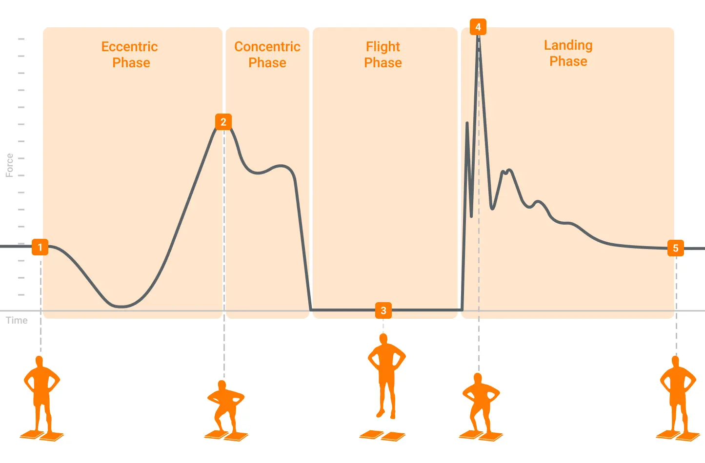 A typical force-time curve for a common force plate test: the CMJ, with the correlated movement associated with the force trace and phases of movement.